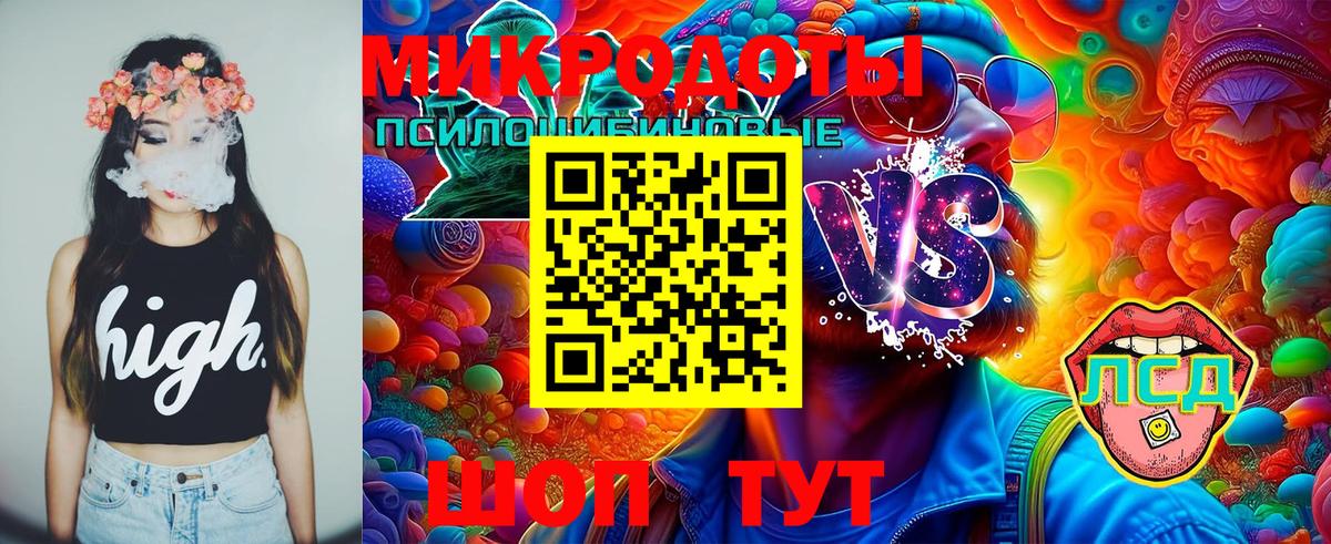 Галлюциногенные грибы Psilocybe  Вход с VPN  Нарткала 